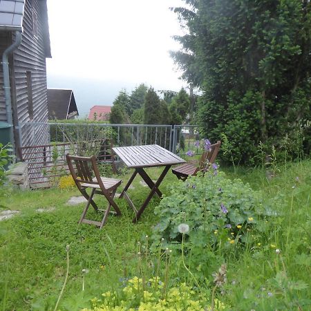Gehlberg Haus Bergwiese - Fuer Naturfreunde, Familien, Wanderer מראה חיצוני תמונה