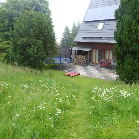 Gehlberg Haus Bergwiese - Fuer Naturfreunde, Familien, Wanderer מראה חיצוני תמונה