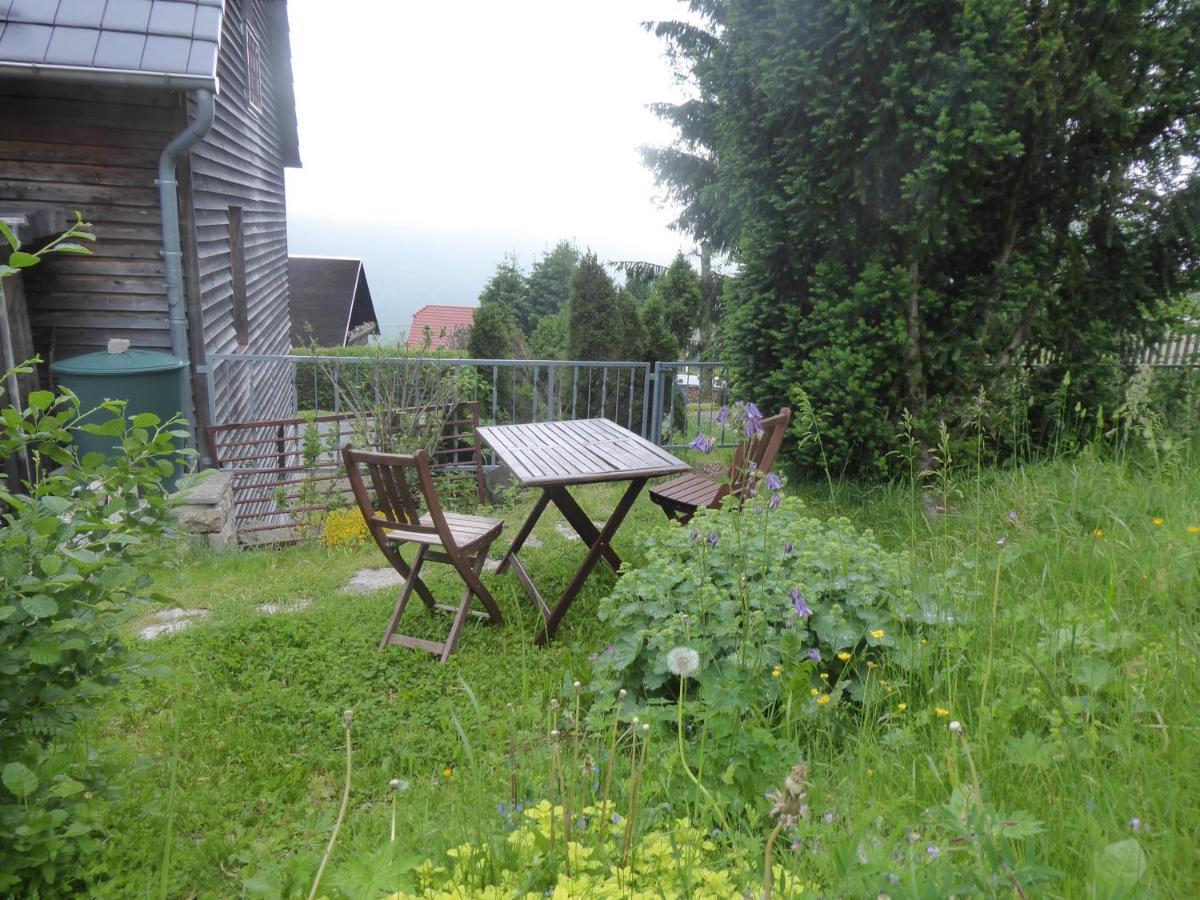 Gehlberg Haus Bergwiese - Fuer Naturfreunde, Familien, Wanderer מראה חיצוני תמונה