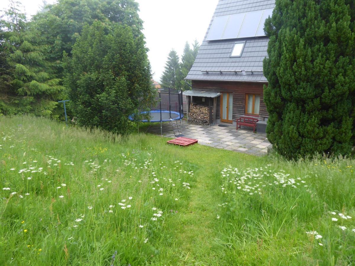 Gehlberg Haus Bergwiese - Fuer Naturfreunde, Familien, Wanderer מראה חיצוני תמונה